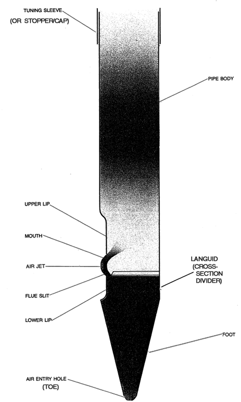 Anatomy of an organ pipe